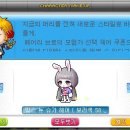 슈가헤어 이미지