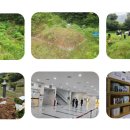 정선하늘터 이미지