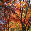 돌멩이 펜션 이미지