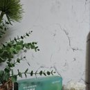 (주)바이오컴