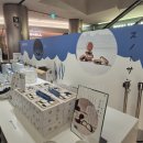 낙농장 | 스노우 팝업 잠실 롯데월드몰 후기