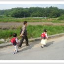 위례초병설유치원 이미지