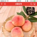 ns 홈쇼핑 털 복숭아 2.5kg 9900원 이미지