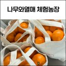 나무와나무 | 제주 나무와열매 체험농장 내돈내산 후기