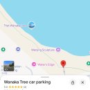 댕그랑 | 뉴질랜드 신혼여행 6일차 NZ라벤더팜 연어낚시(후크와나카) 와나카호수 나홀로나무