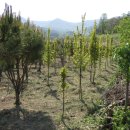 고향농장 이미지