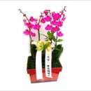 퇴계원11리 이미지