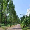 신장둔치 이미지