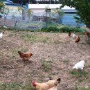 포항곤충농장 이미지