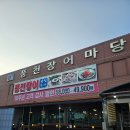 풍천장어 | 김포 장어 맛집 // 풍천장어마당 후기