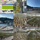 한국춘란 전시회 | [탐방기] 동양난 직거래 사이트로 유명한 남원 난나라 방문 후기