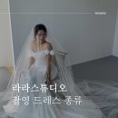 드레스 | 라라스튜디오 촬영 드레스 오간자 미카도 실크, 비즈 드레스 후기