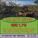 신기리농장 네이버블로그