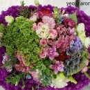 여주-1018 이미지