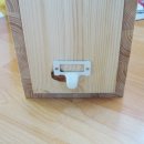 유리나무 이미지