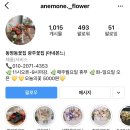 아네몬느