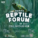 젝게코 앤 쥬 이미지