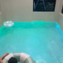 파미에애월 이미지