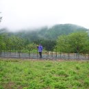 흑송농장 이미지