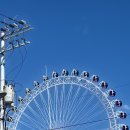 밀키스테이 이미지