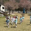 용두초병설유치원 충북뉴스