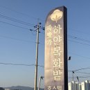 바닷가하얀목화밭