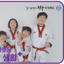 용인대 슬기태권도장 이미지