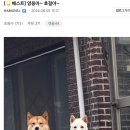 그계절 이미지
