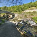 코끼리캠핑장 이미지