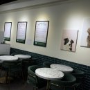 마린독스 이미지