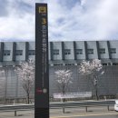 중앙보훈메디칼 | 자궁경부암백신 HPV백신 2차접종 후기!! 서울 저렴한곳-서울중앙보훈병원