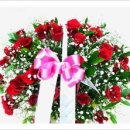 영일당한의원 이미지