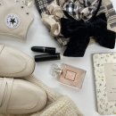 녹원동물병원 | 10월 일상🍂 좋아하는 가을 아이템과 순간들