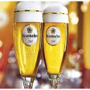 케이비코리아 이미지