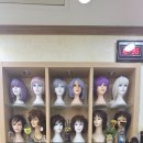 가발히트모
