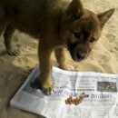 행복펜션 이미지