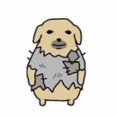망한 주식 대회 하실 분.twt 이미지