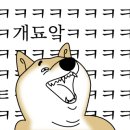 댄싱컵동대신역점