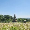 기철농장 이미지