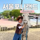 봉봉무인마켓 | 과천포니랜드 아기랑 방문 후기｜입장료·주차·승마체험 총정리