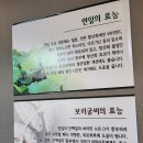 해솔바다향기 | 바다향기수목원 인근 생선구이 맛집 [해솔뜰] 해솔정식 내돈내산 솔직 후기