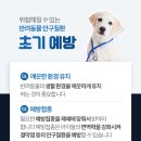 화서동물병원 이미지