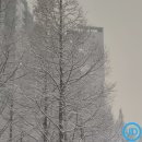 진로 행정사사무소 | “도로교통사고감정사 자격증 완전정리 – 시험일정·과목·합격률부터 진로·연봉까지 한눈에 보기”