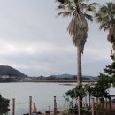 제주하도바당 이미지