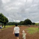 호돌이목장 이미지