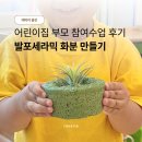 진주숲어린이집 | 진주 어린이집 부모 참여수업, 발포세라믹 화분 만들기 출강 후기
