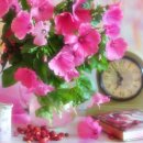 아름다운 사랑이 머무는곳 이미지