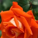 아침을 여는 음악 3월 22일(금) 이미지