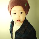 진서트리 Daum카페