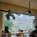 나린인테리어 - 계양구 효서로 282 | 준오헤어 여의도kbs별관점 나린쌤 후기┊여의도 미용실 추천, 여의도 애쉬브라운/밀크브라운 염색